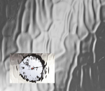 4mm Flemish Texture Glass Privacy Level 2 per square metre