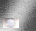 4mm Pelerine Texture Glass Privacy 5 per square metre