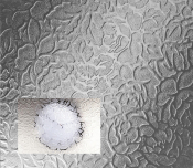 4mm Florielle Texture Glass Privacy Level 4 per square metre