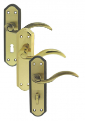 Carlisle Brass Wentworth Lever On Backplate