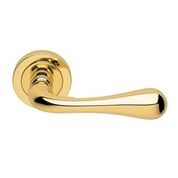 Carlisle Brass Astro Lever on Rose AQ1