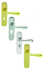 Carlisle Brass Manital Astro Lever On Backplate
