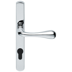 Carlisle Brass Astro Lever on Euro Lock Narrow Plate
