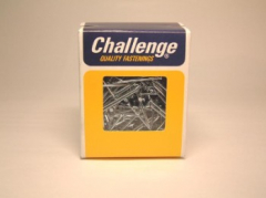 Frank Shaw Zinc Plated Panel Pins 500gm boxes