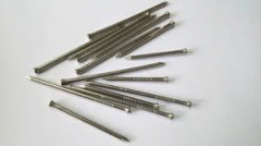 Stainless Steel Panel Pin 1kilo