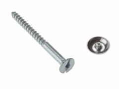 Mirror Screw