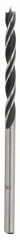 Bosch Brad Point Wood Drill Bits