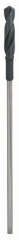 Bosch Formwork and Installation Drill Bit