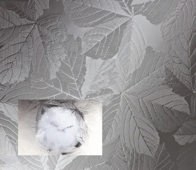 4mm Sycamore Texture Glass Privacy Level 2 per square metre
