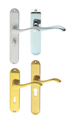 Carlisle Brass Andros Lever on Backplate
