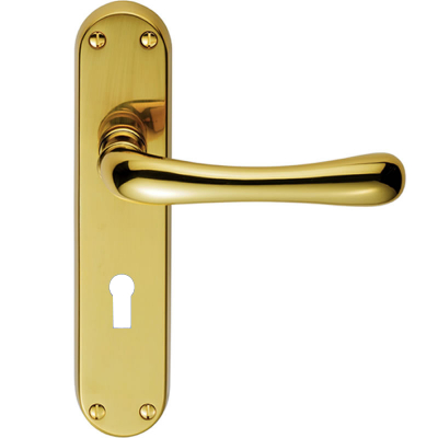 Carlisle Brass Ibra Lever Handle on Backplate