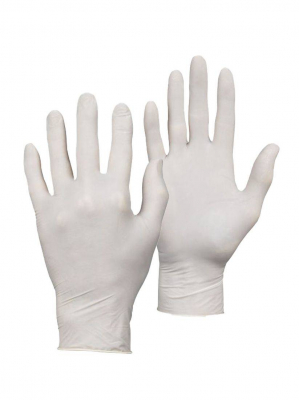 Warrior Clear Latex Powedered Glove (100 per box)