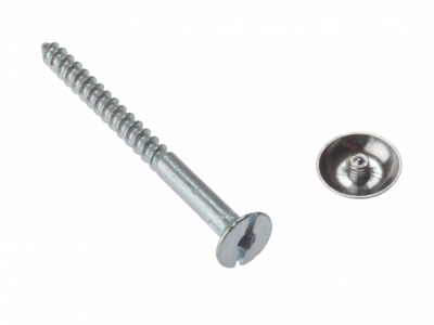 Mirror Screw